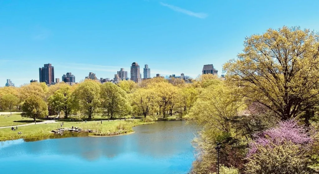 Things You Can Do in New York